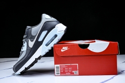 Nike Air Max 90 DM0029 009