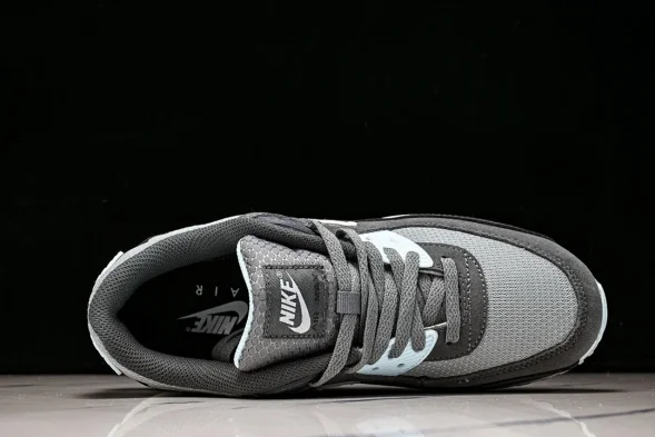 Nike Air Max 90 DM0029 009  