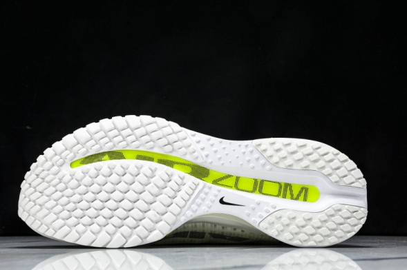 Nike Air Zoom Pegasus Premium HQ2592 100 