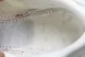 Adidas Adizero Evo SL JS1182 