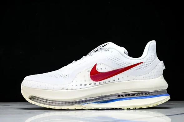 Nike Air Zoom Pegasus Premium IH7347-111 