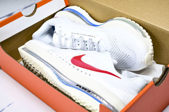 Nike Air Zoom Pegasus Premium IH7347-111 