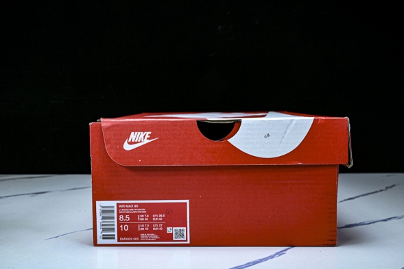 Nike Air Max 90 DM0029-005 
