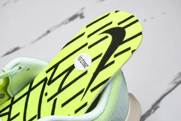 Nike Zoom Fly 5 DM8968 300 