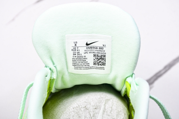 Nike Zoom Fly 5 DM8968 300 