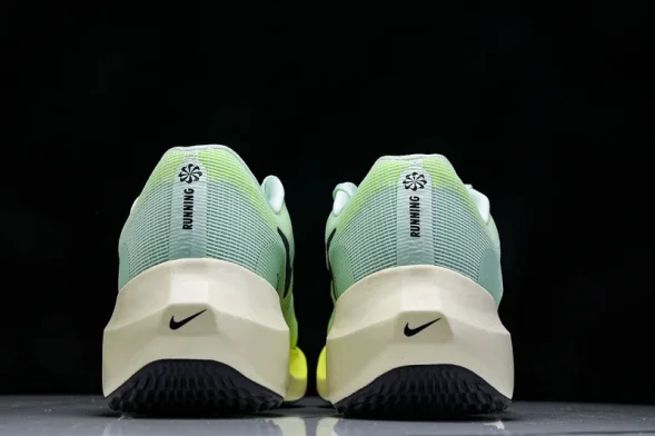 Nike Zoom Fly 5 DM8968 300 