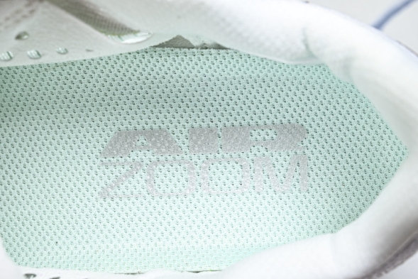 Nike Air Zoom Pegasus Premium HQ2593-103 