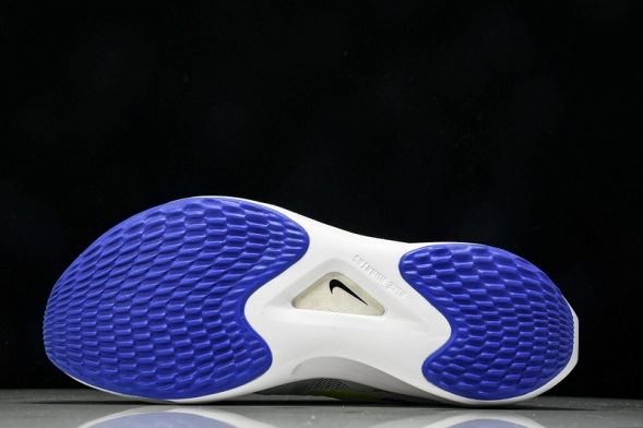 Nike Zoom Fly 5 DX1599 100 