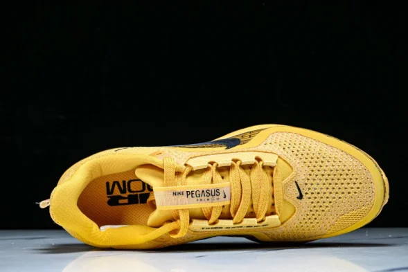 Nike Air Zoom Pegasus Premium IH3256-700  