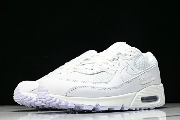 Nike Air Max 90 CN8490 100 