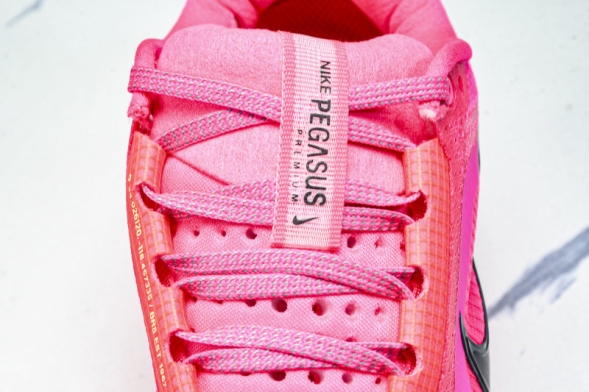 Nike Air Zoom Pegasus Premium HQ2592 600  