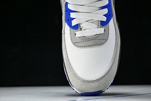 Nike Air Max 90 DM0029-112 