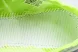 Adidas Adizero Takumi Sen 10 M IG3134 