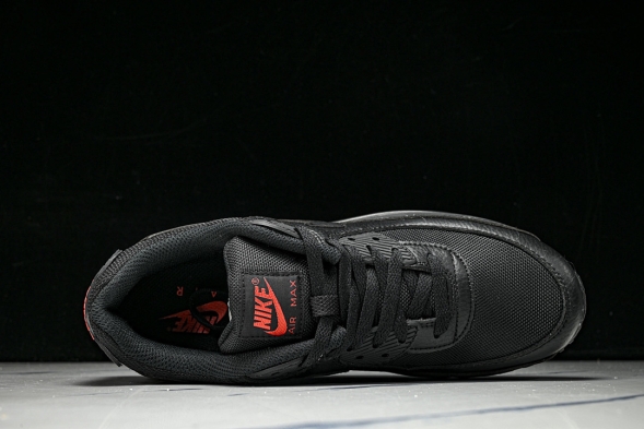 Nike Air Max 90 DZ4504 003 