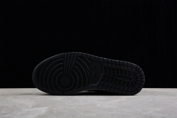 Nike Air Jordan 1 low 553558-062 