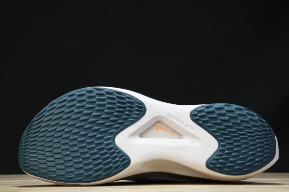 Nike Zoom Fly 5 DM8968 400 