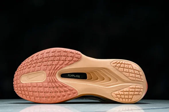 Nike Zoom Fly 6 1B6657 108 