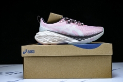 Asics Novablast 4 1012B654-250
