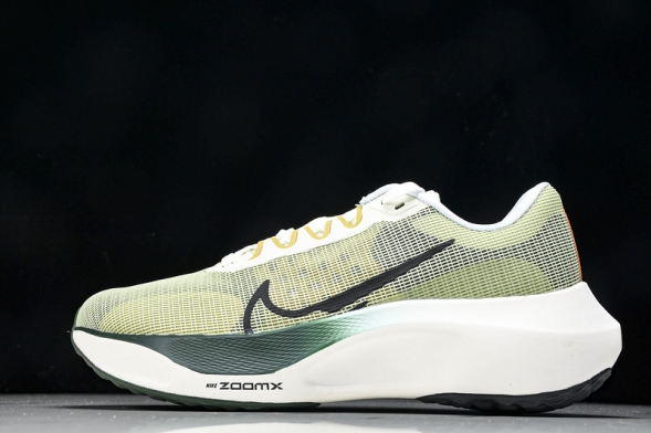 Nike Zoom Fly 5 FV3632 301 