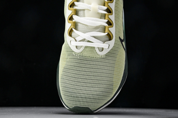 Nike Zoom Fly 5 FV3632 301 