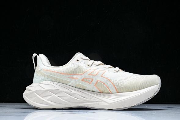 Asics Novablast 4 1012B510-250 