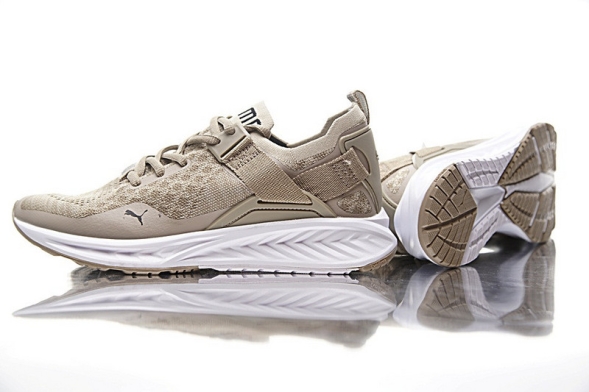  Puma IGNITE EVOKNIT LO 189926-02 