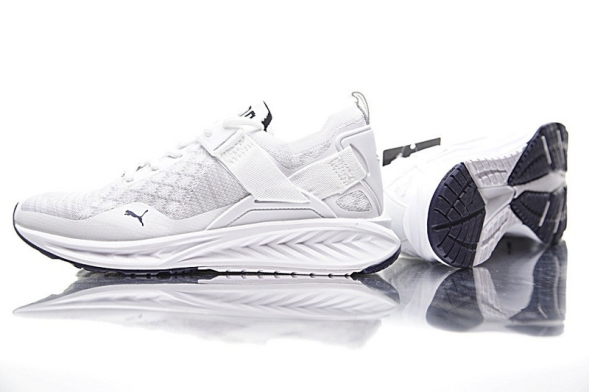  Puma IGNITE EVOKNIT LO 189904-02 