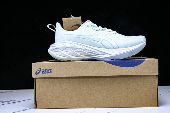 Asics Novablast 4 1012B510-300 
