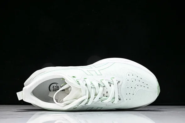 Asics Novablast 4 1012B510-300 