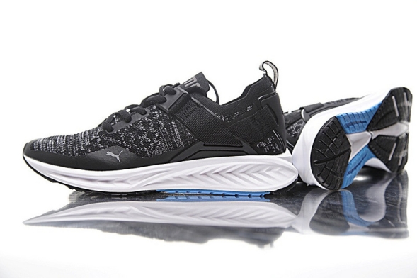  Puma IGNITE EVOKNIT LO 189904-01 