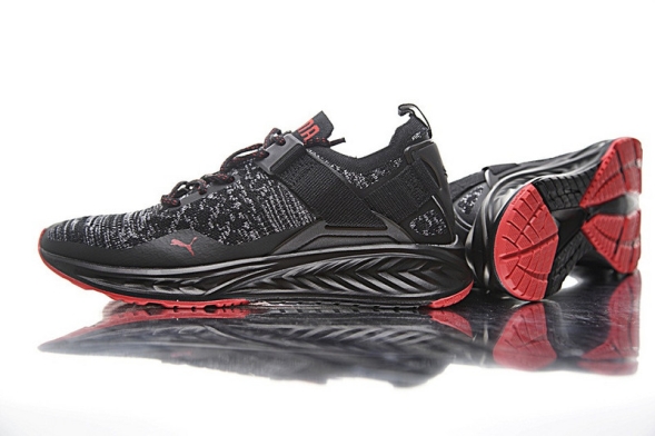  Puma IGNITE EVOKNIT LO 189926-01 
