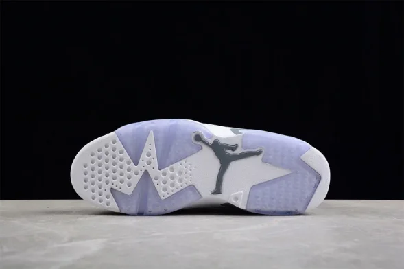 Nike Air Jordan 6 Cool Grey CT8529-100 