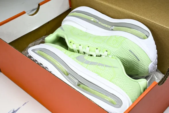 Nike Air Zoom Premium FN8453-023 