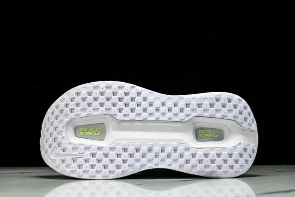 Nike Air Zoom Premium FN8453-023 