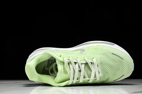 Nike Air Zoom Premium FN8453-023 