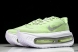 Nike Air Zoom Premium FN8453-023 