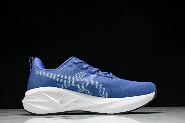 Asics Novablast 5 1011B974-403 
