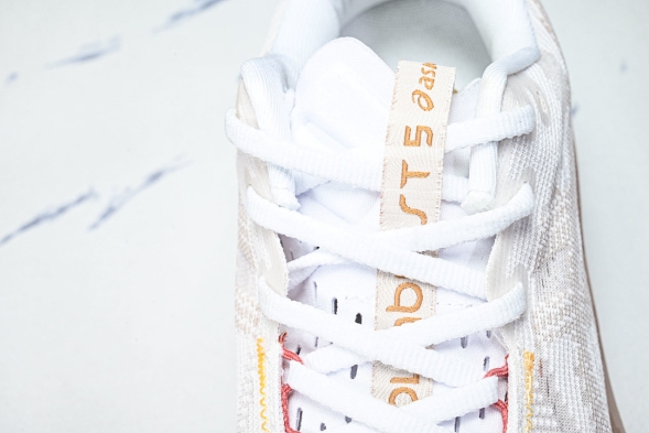 Asics Novablast 5 1012B765-102 