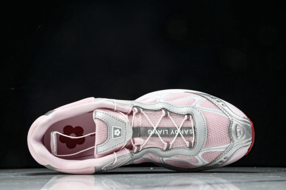 Salomon XT-Whisper 478463 22 