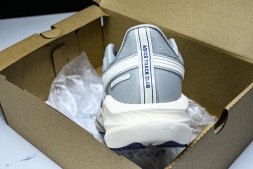 Asics Novablast 5 1011B974-031