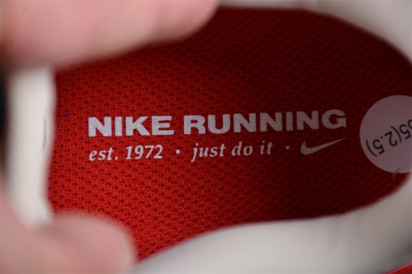 Nike Air Zoom Vomero 17 FB1309-003 