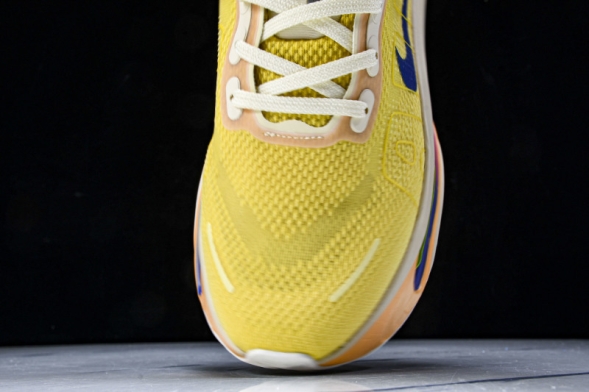 Nike Air Zoom Vomero Premium FN8453 025 