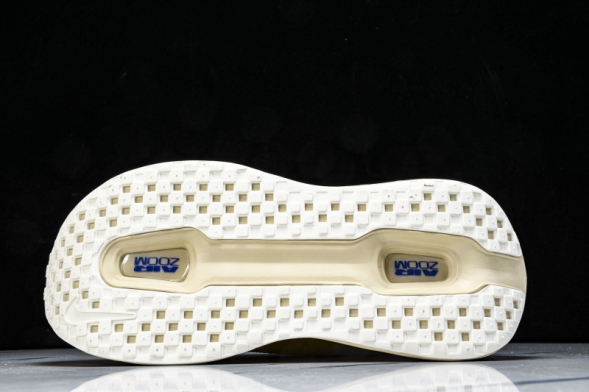 Nike Air Zoom Vomero Premium FN8453 025 