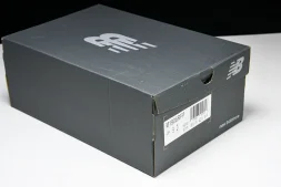 New Balance 1906 M1906RFP
