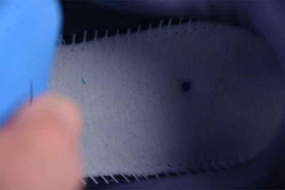 Nike Air Zoom Vomero 17 FB1309-100 