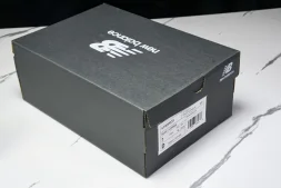 New Balance 1906 U1906RCG
