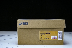 Asics Novablast 5 1012B765-101