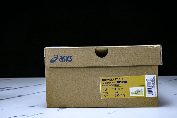 Asics Novablast 5 1012B765-250 