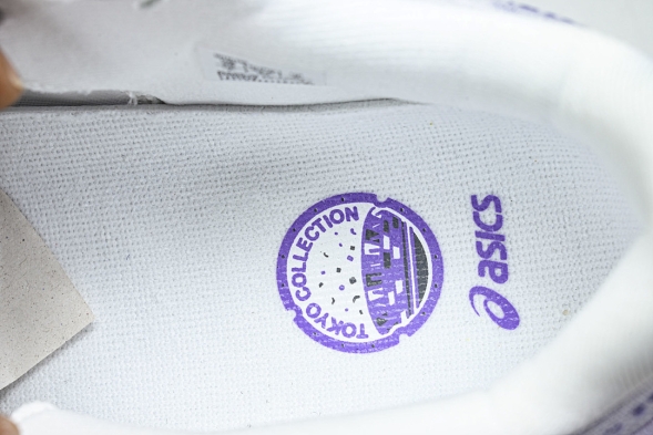 Asics Novablast 5 1011C139-500 