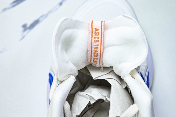 Asics Novablast 5 1012B909-100 